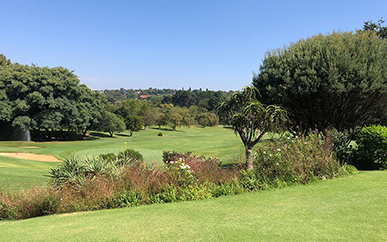 View of Randpark Golf Club