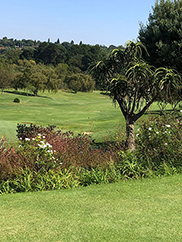 View of Randpark Golf Club
